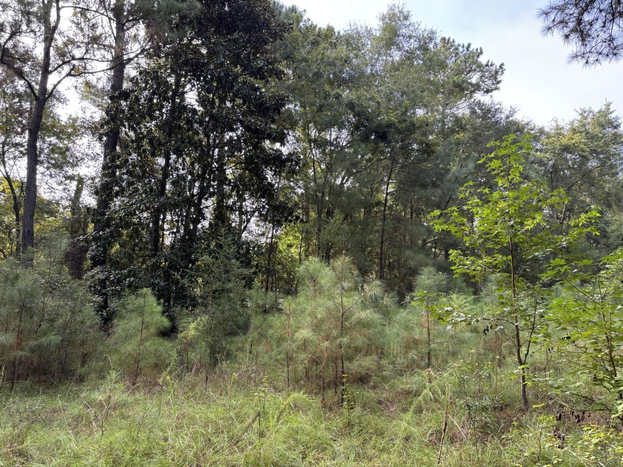 0 Providence Circle Photo 8