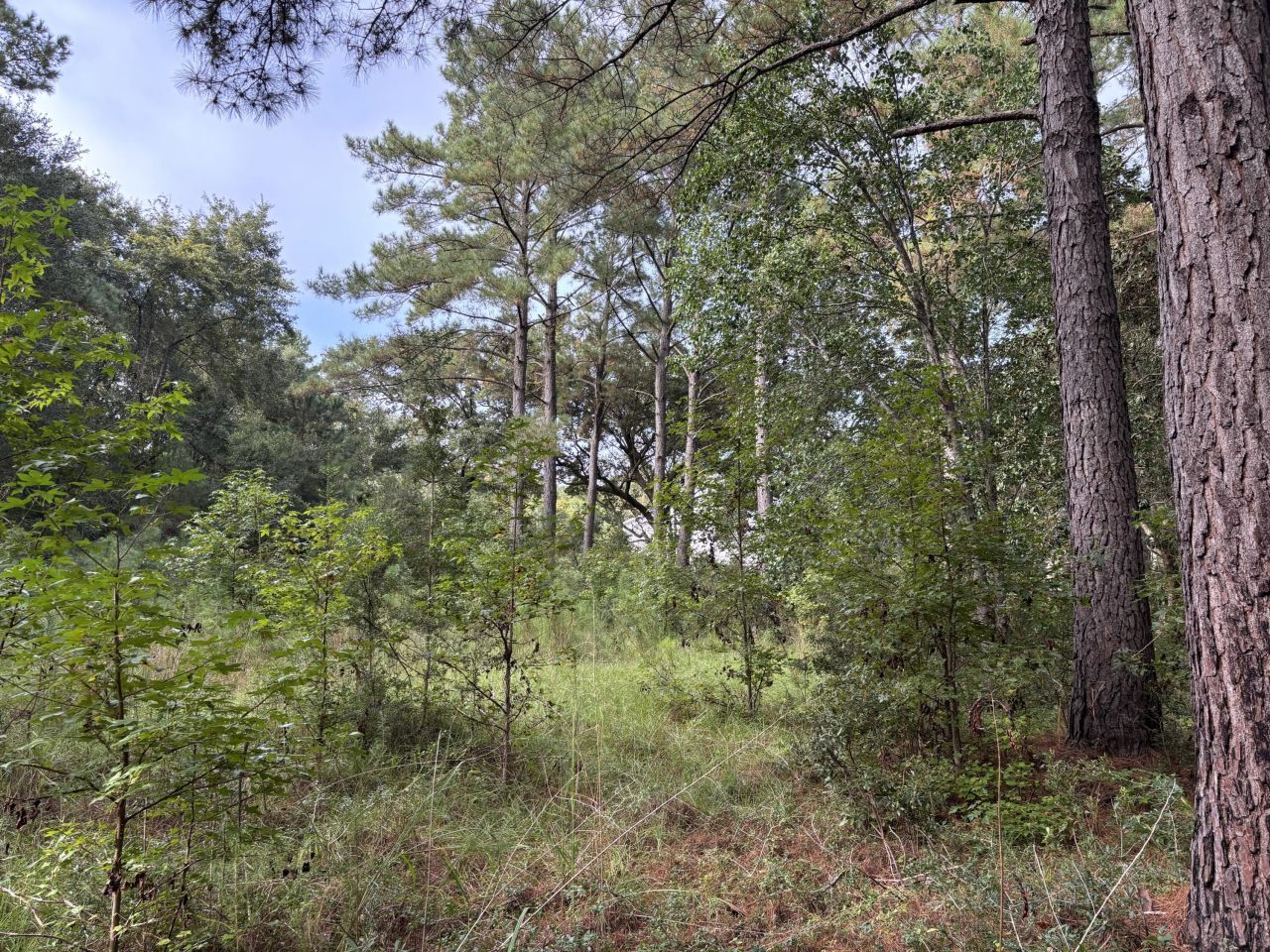 0 Providence Circle Photo 9