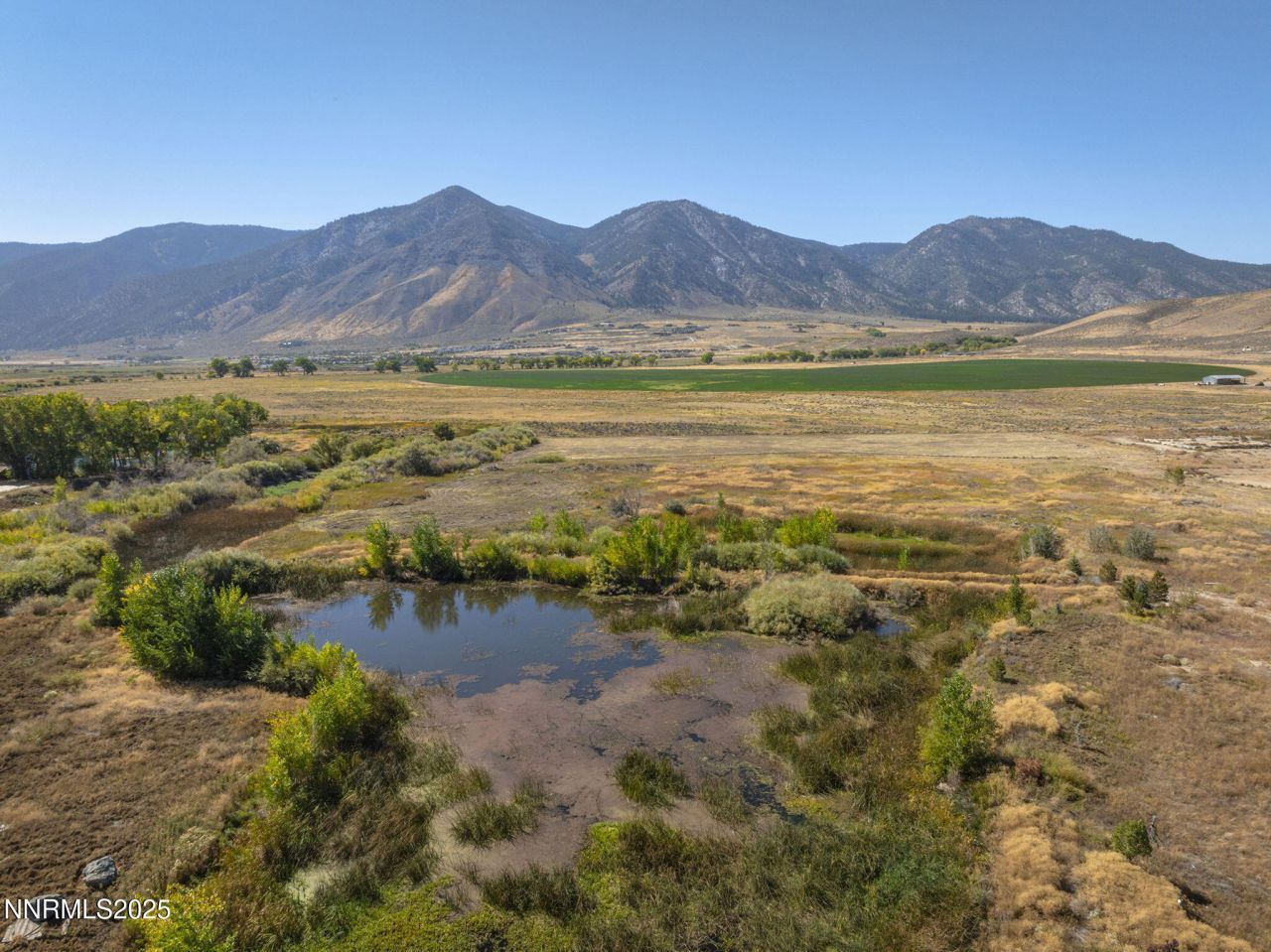 2960 Oasis Springs Road, Minden, NV 89423 Photo