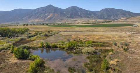 2960 Oasis Springs Road, Minden, NV 89423 Photo