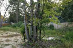 0 Enterprise Street photo 4