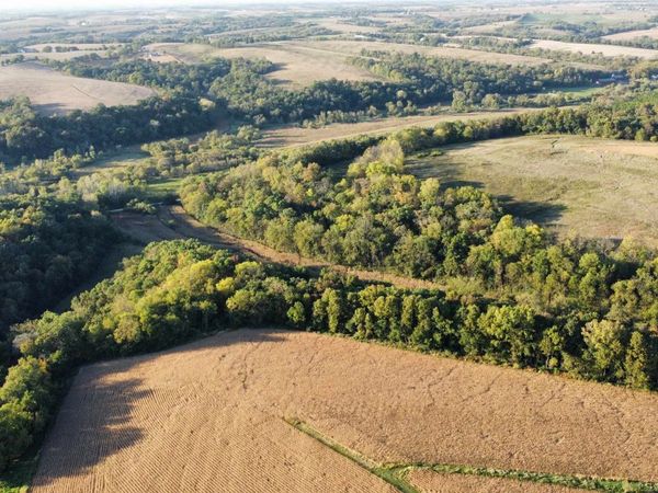 27 Ac. Dougherty Creek Road, Argyle, WI 53504