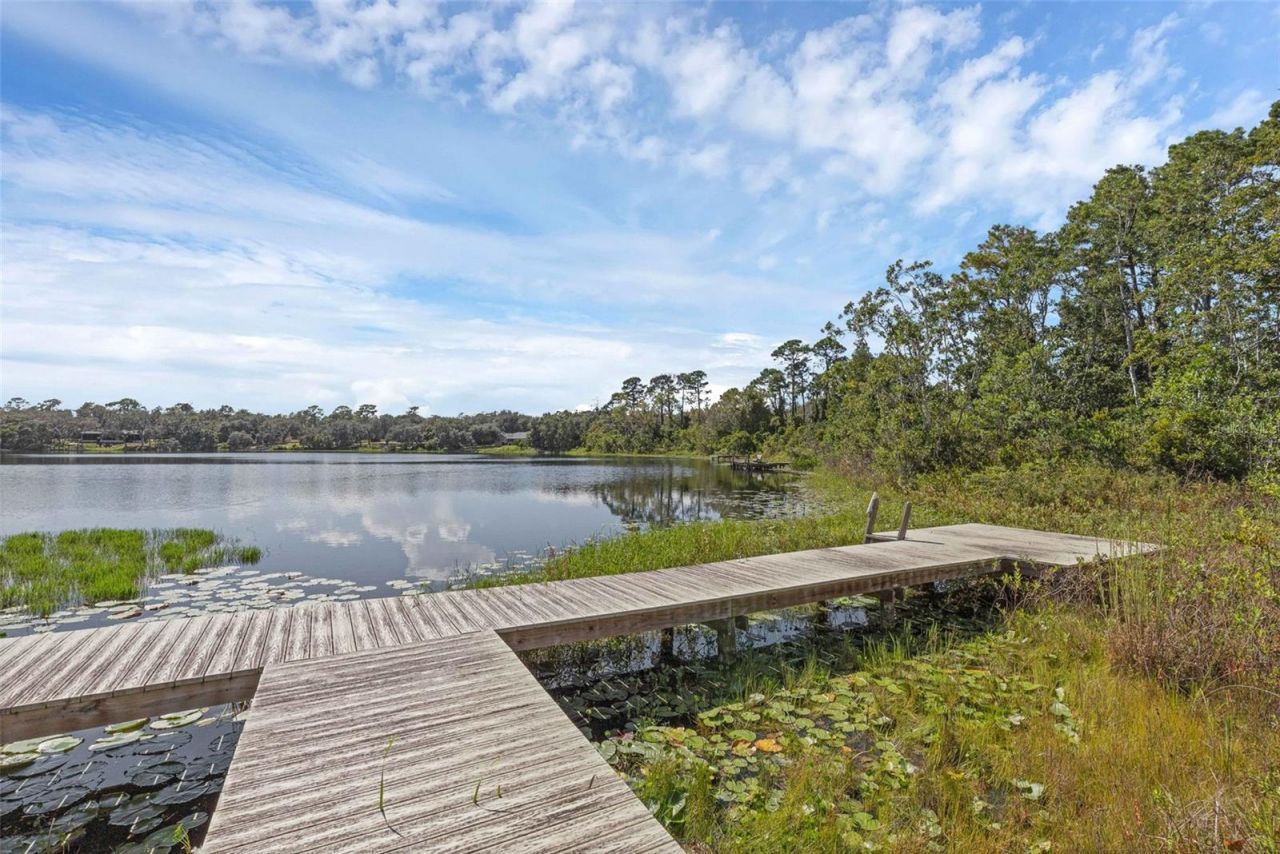 230 Fisher Run, Ocklawaha, FL 32179 Photo