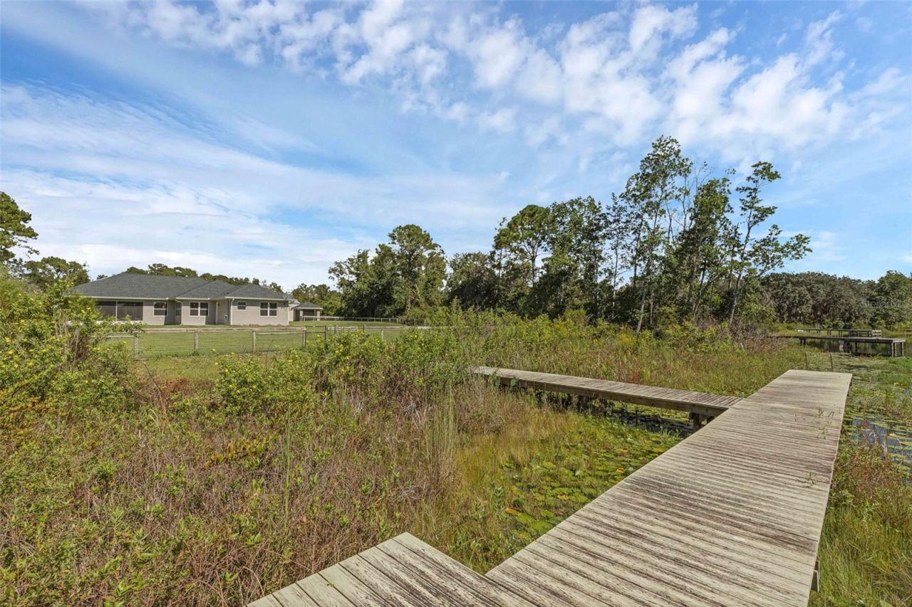 230 Fisher Run, Ocklawaha, FL 32179 Photo