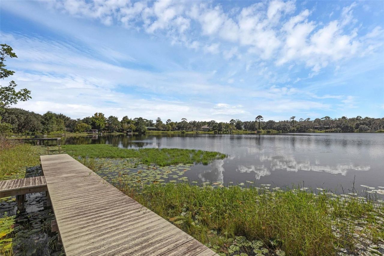 230 Fisher Run, Ocklawaha, FL 32179 Photo