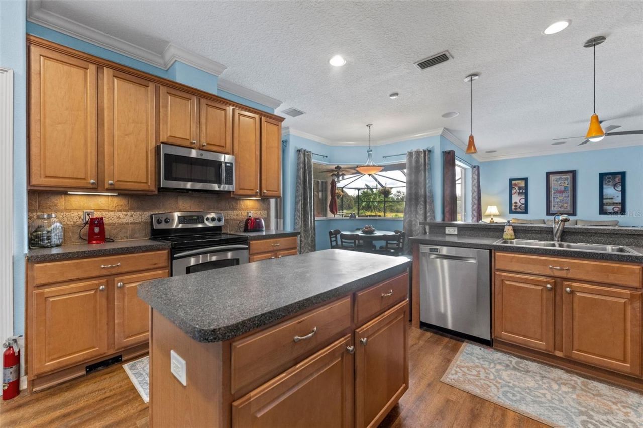 7340 Night Heron Drive, Land O Lakes, FL 34637 Photo