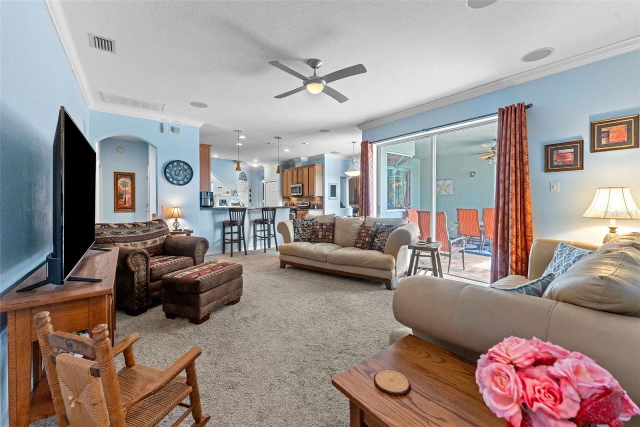 7340 Night Heron Drive, Land O Lakes, FL 34637 Photo