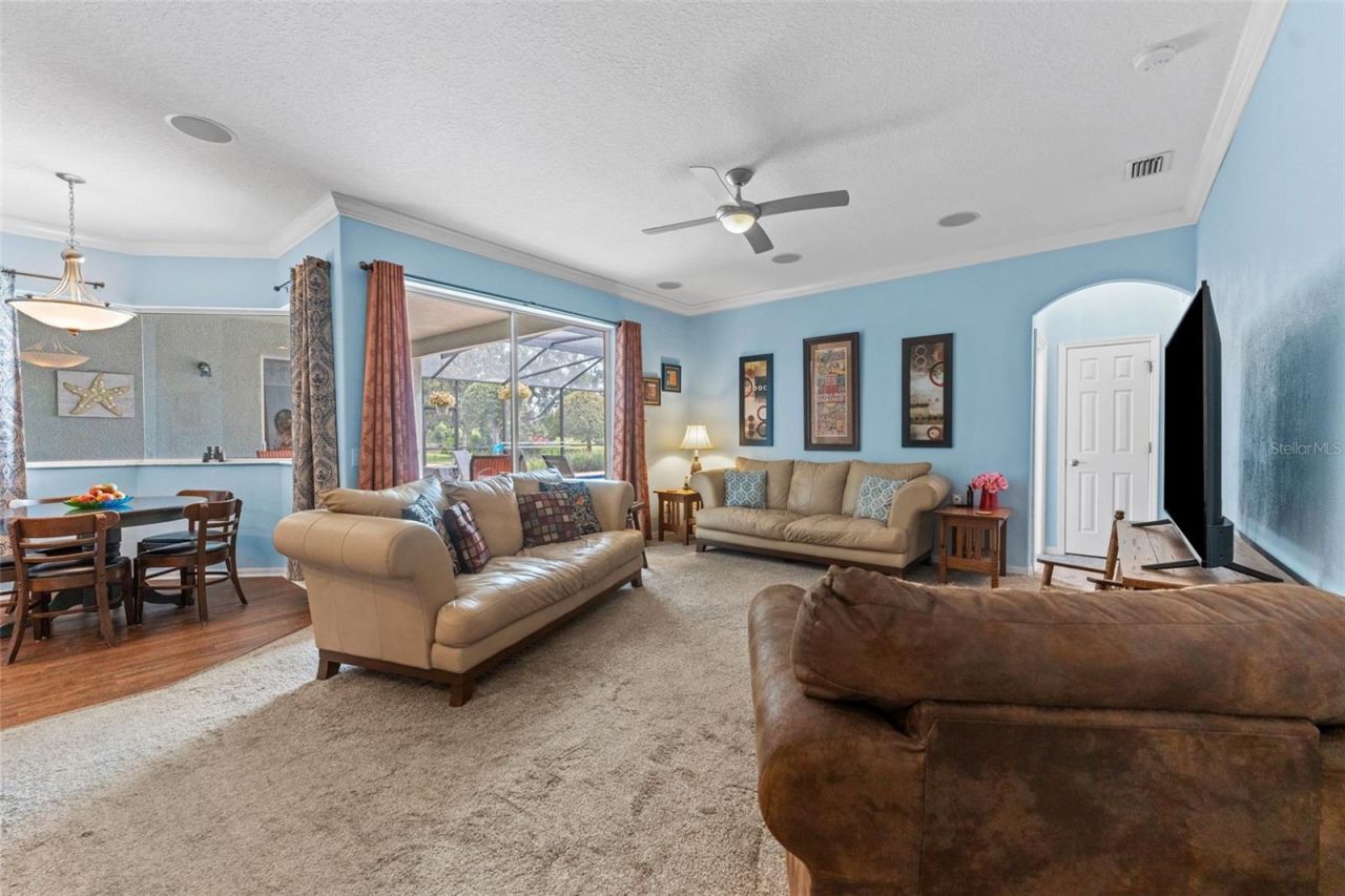 7340 Night Heron Drive, Land O Lakes, FL 34637 Photo