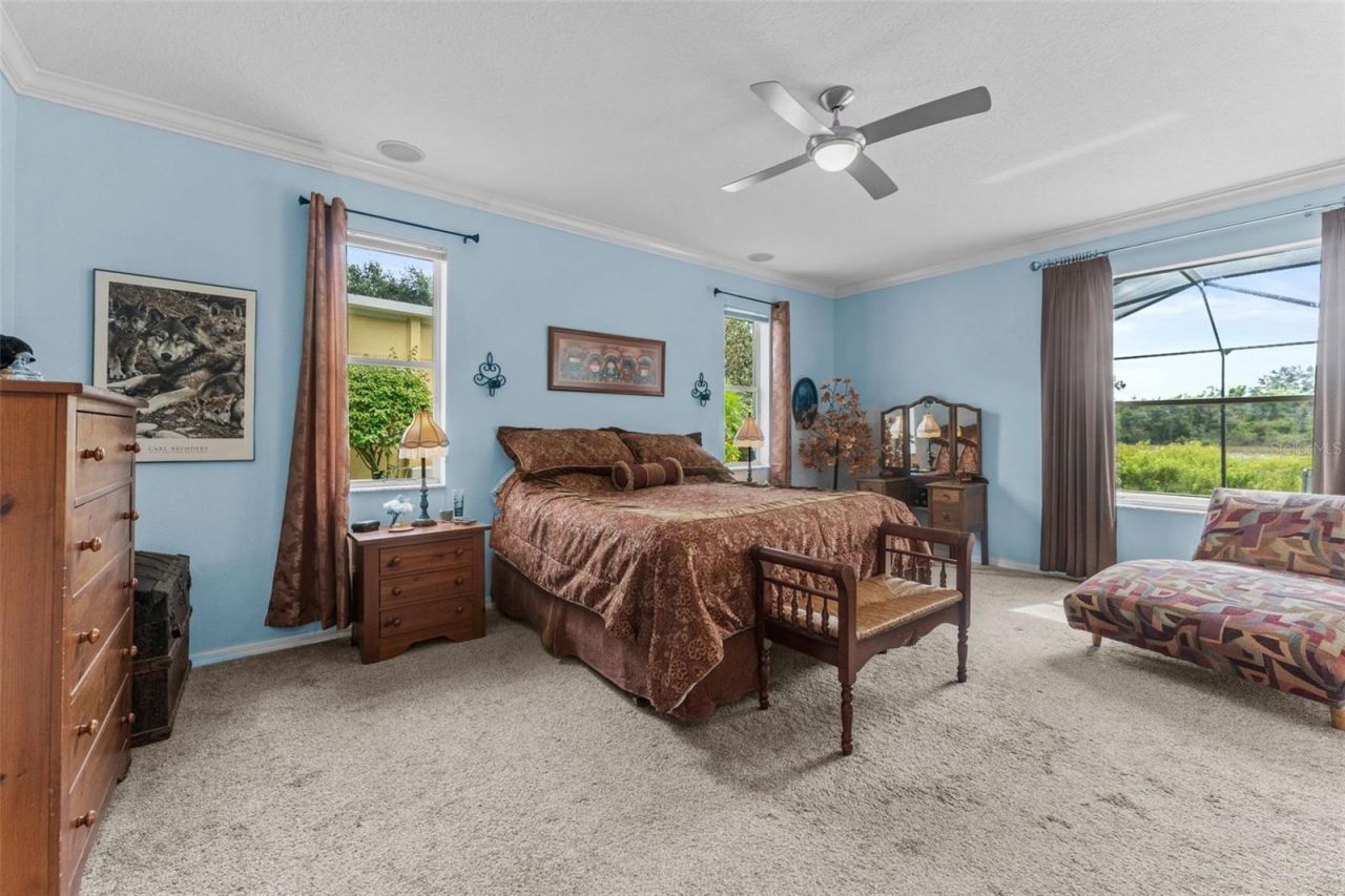 7340 Night Heron Drive, Land O Lakes, FL 34637 Photo