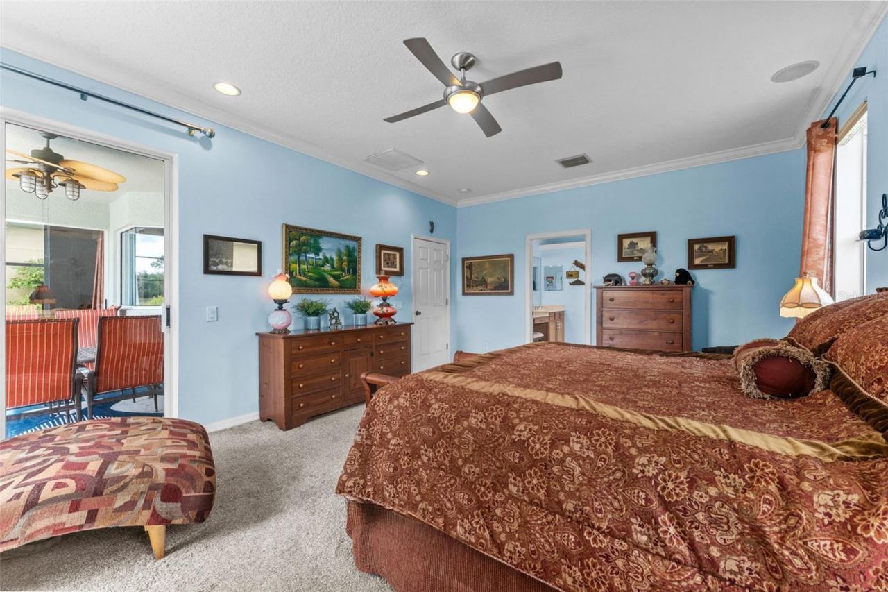 7340 Night Heron Drive, Land O Lakes, FL 34637 Photo