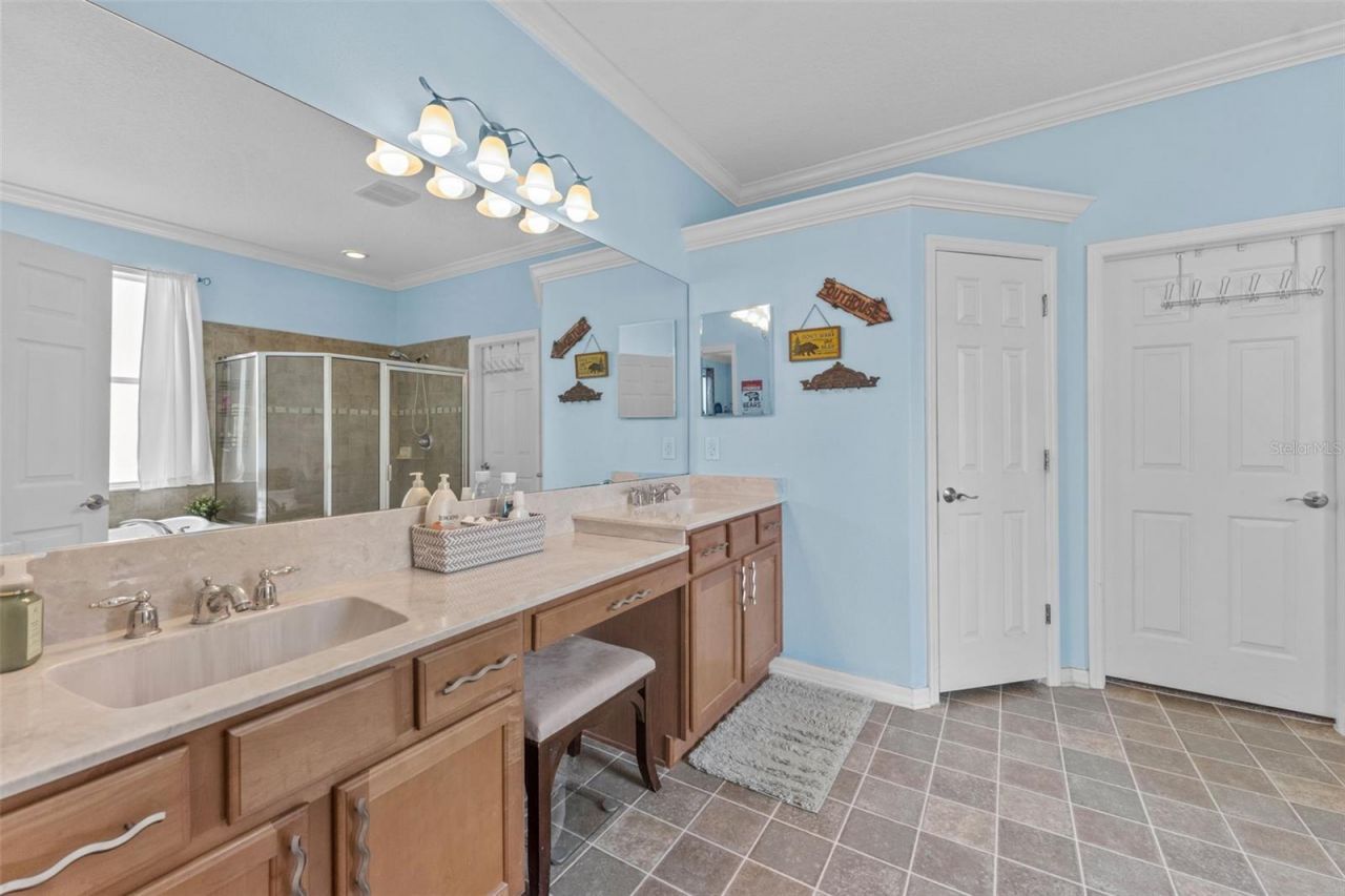 7340 Night Heron Drive, Land O Lakes, FL 34637 Photo