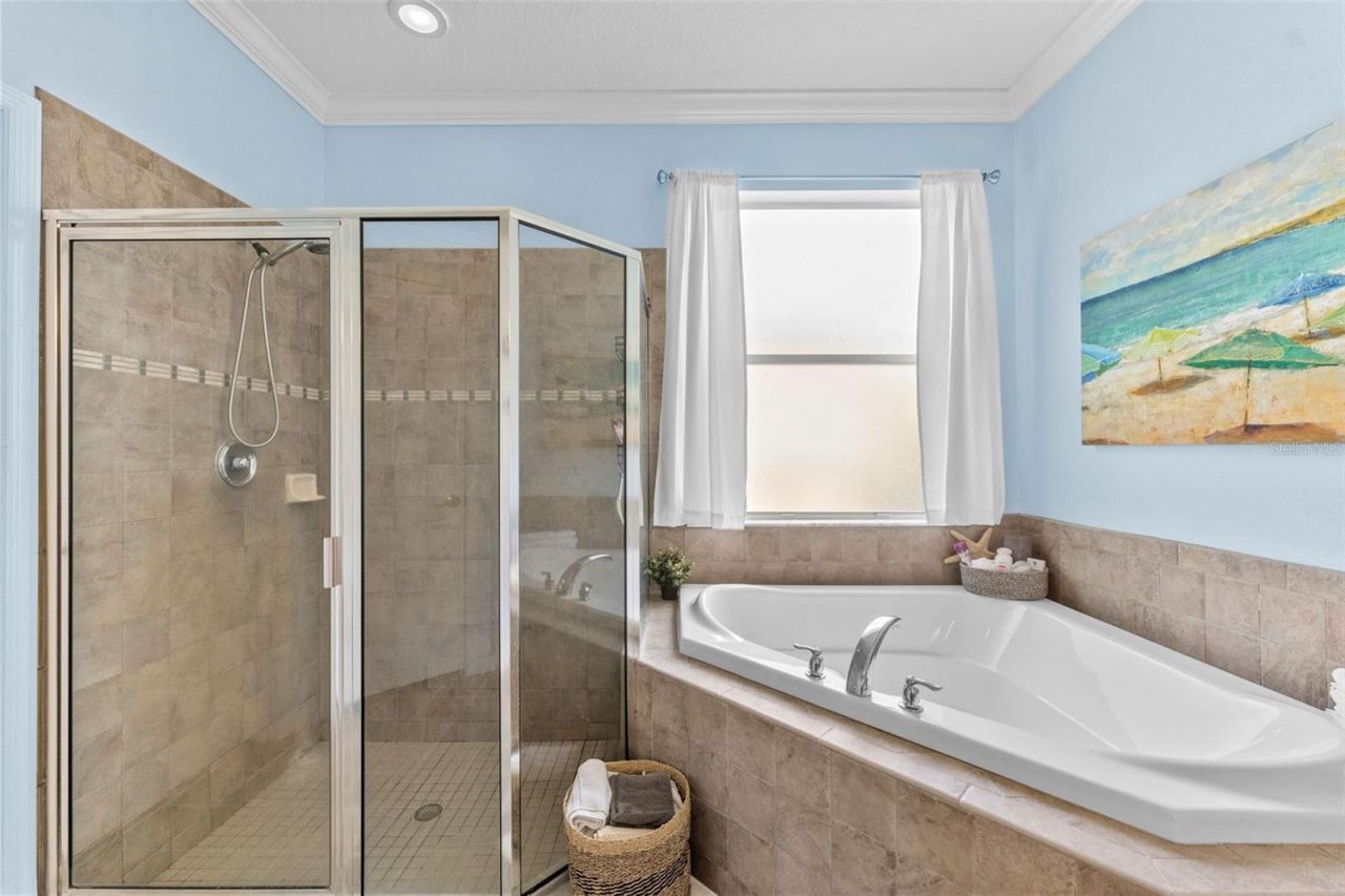 7340 Night Heron Drive, Land O Lakes, FL 34637 Photo