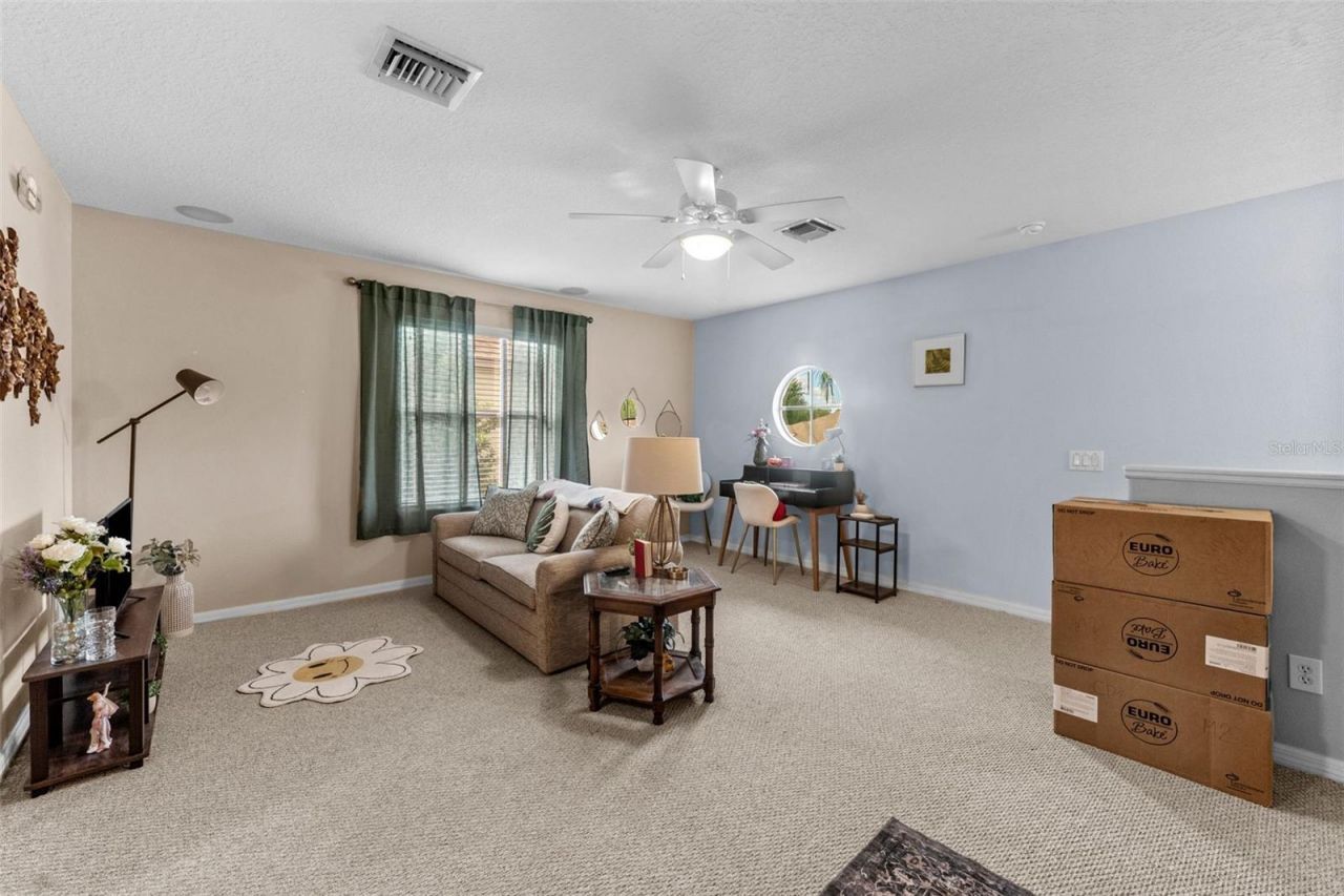 7340 Night Heron Drive, Land O Lakes, FL 34637 Photo