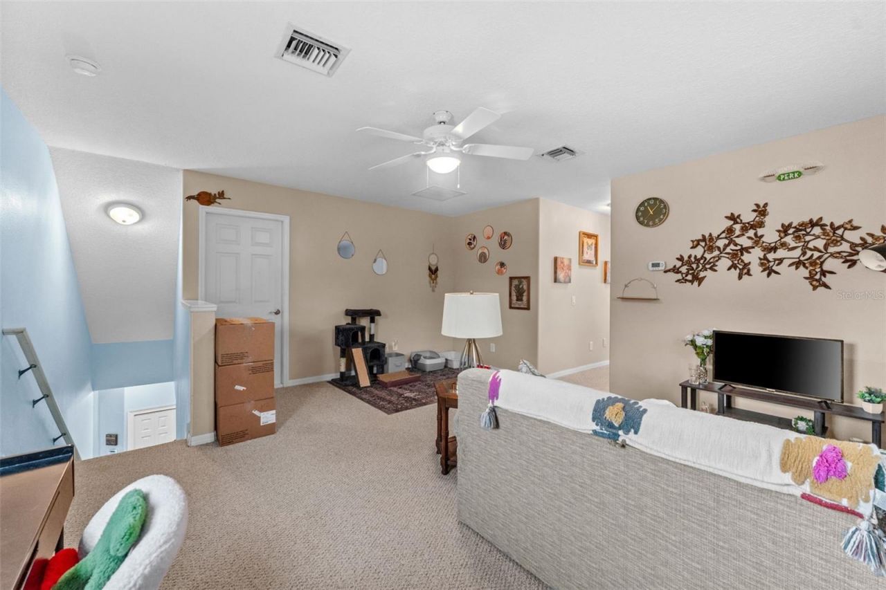 7340 Night Heron Drive, Land O Lakes, FL 34637 Photo