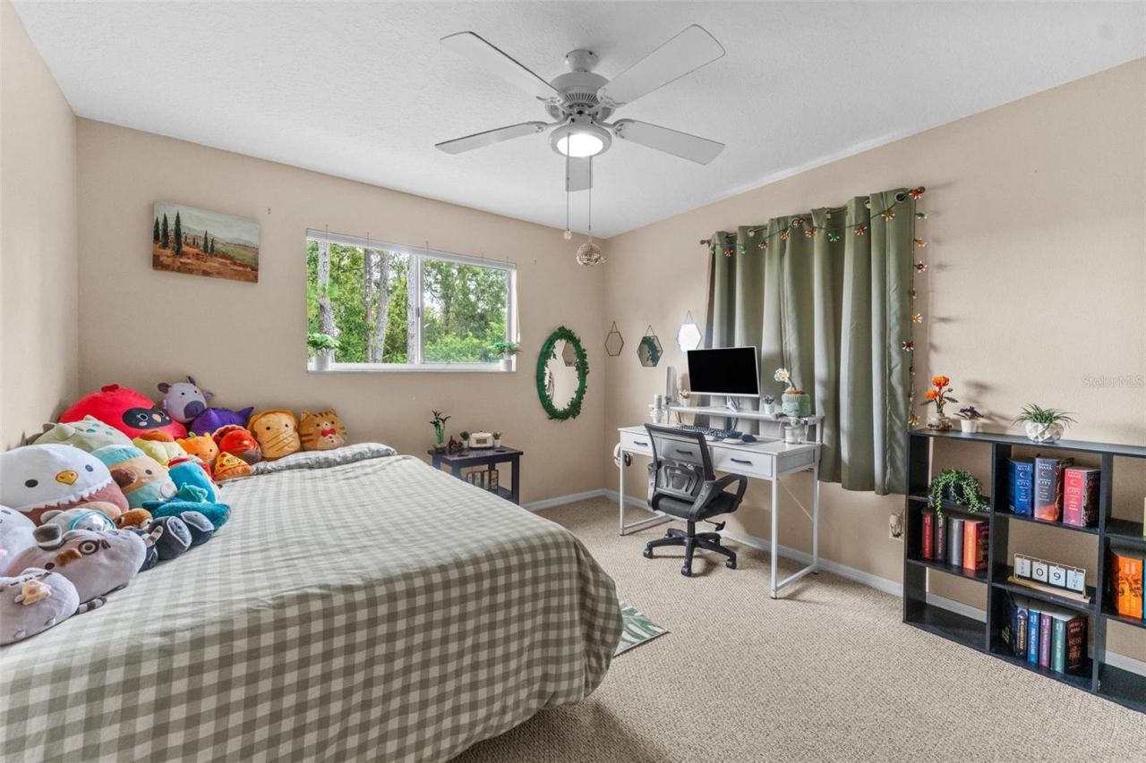 7340 Night Heron Drive, Land O Lakes, FL 34637 Photo