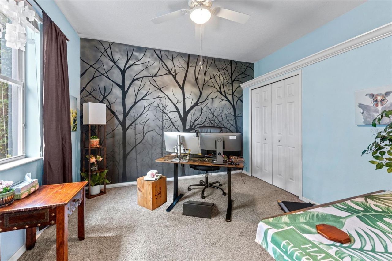 7340 Night Heron Drive, Land O Lakes, FL 34637 Photo