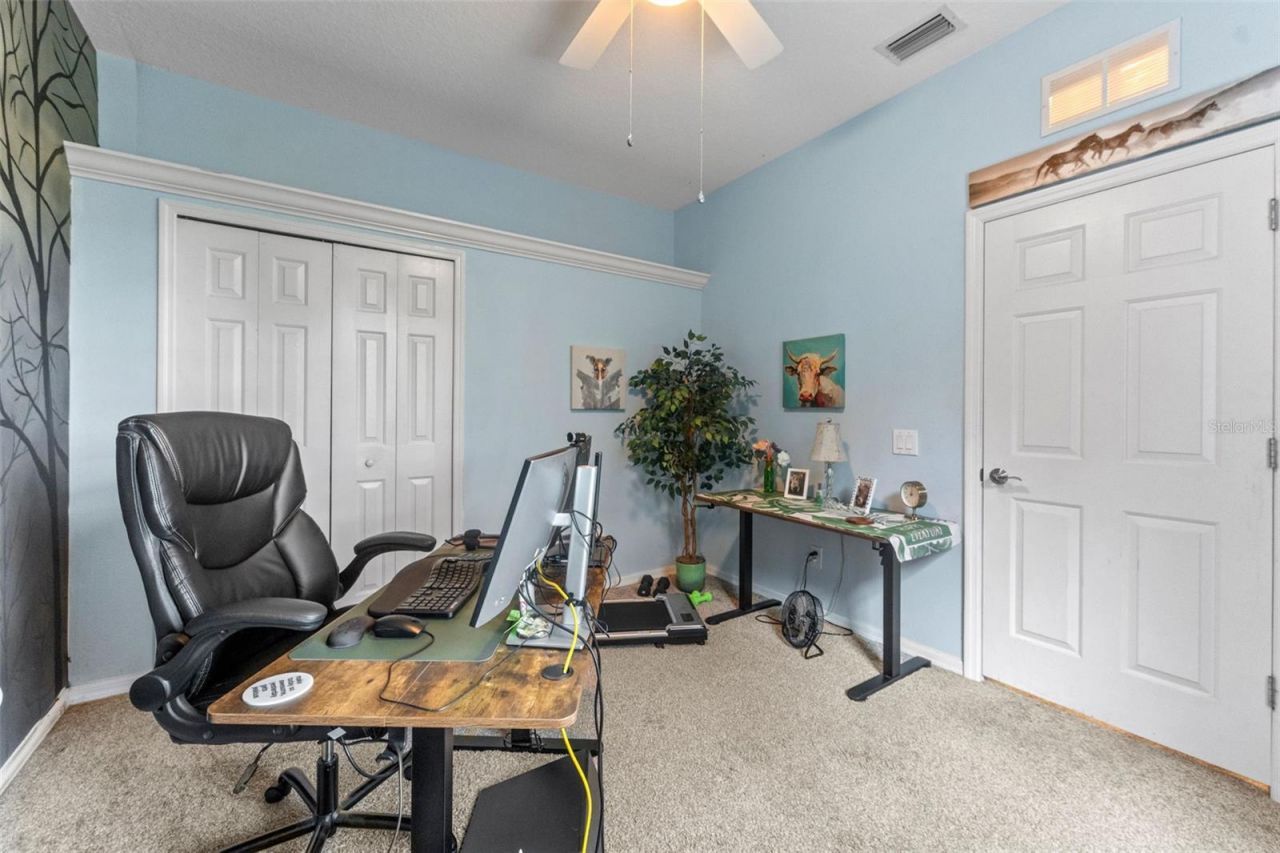 7340 Night Heron Drive, Land O Lakes, FL 34637 Photo