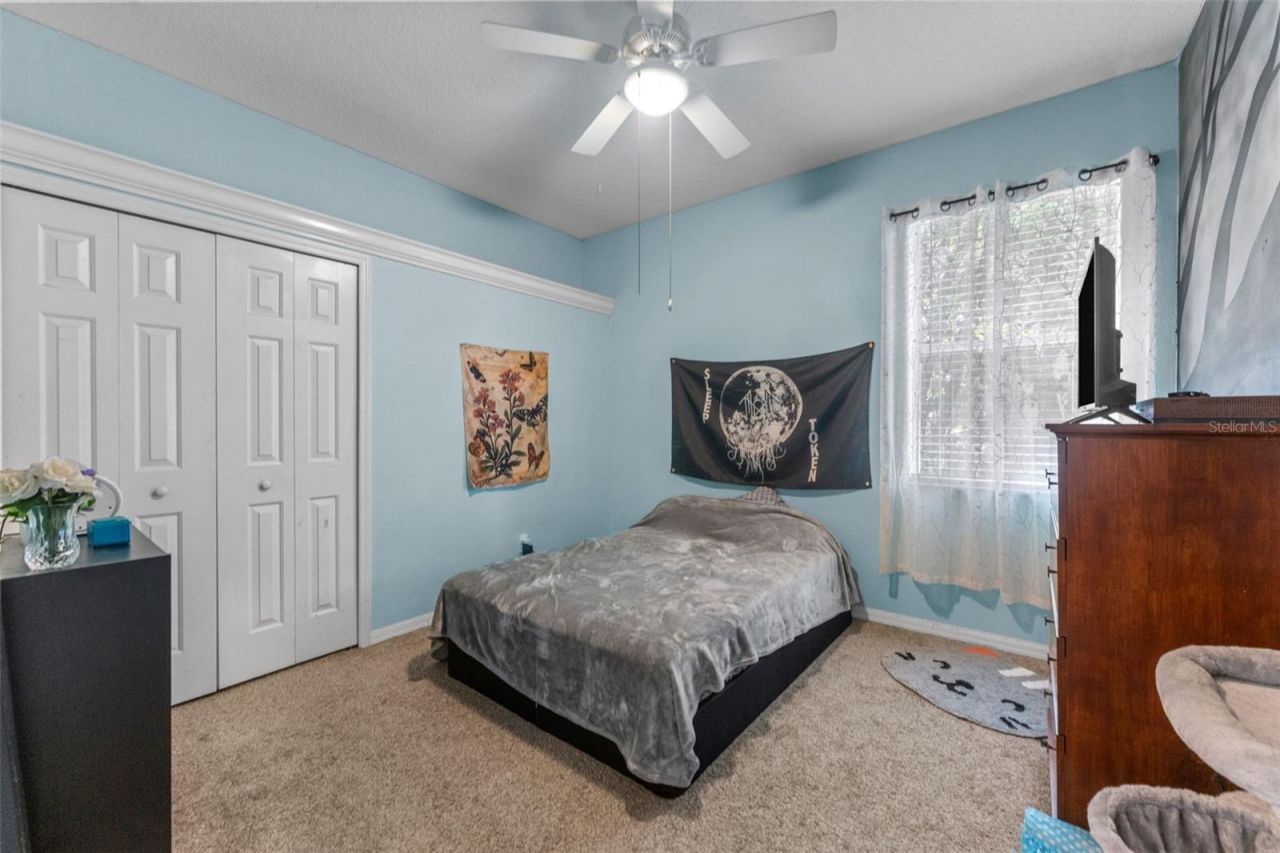 7340 Night Heron Drive, Land O Lakes, FL 34637 Photo