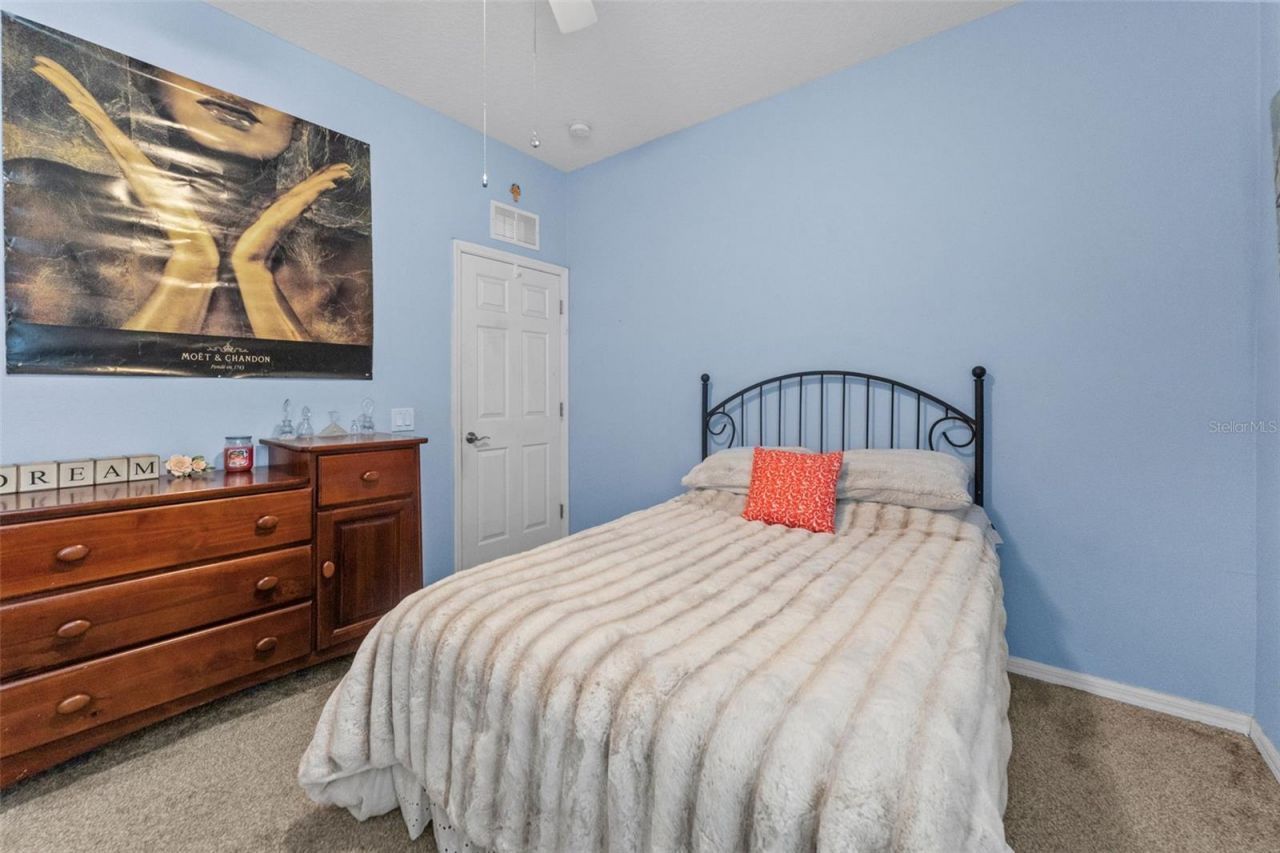 7340 Night Heron Drive, Land O Lakes, FL 34637 Photo