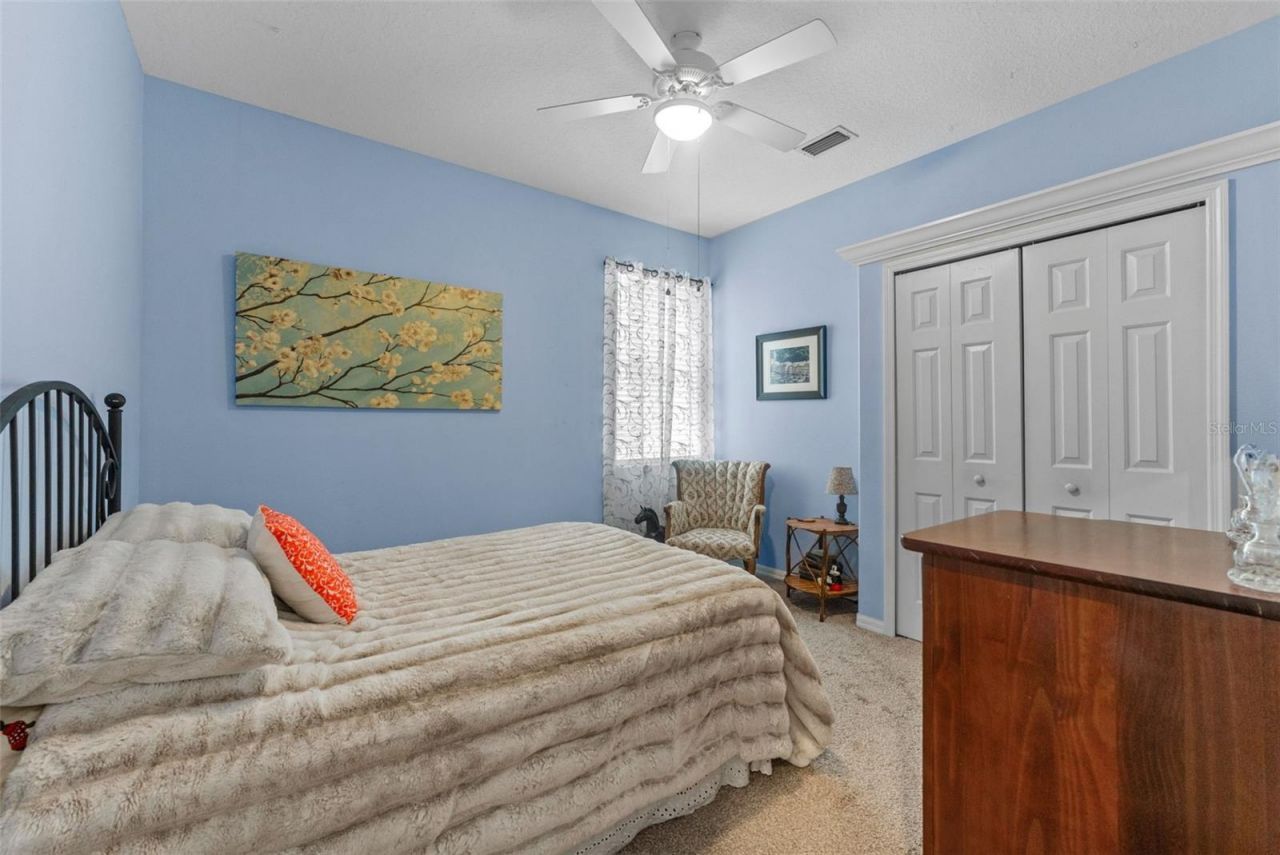 7340 Night Heron Drive, Land O Lakes, FL 34637 Photo