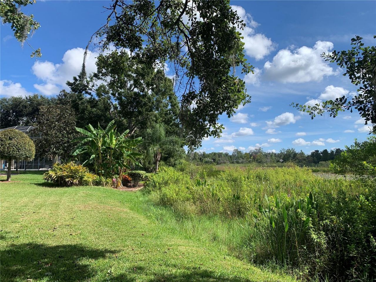 7340 Night Heron Drive, Land O Lakes, FL 34637 Photo