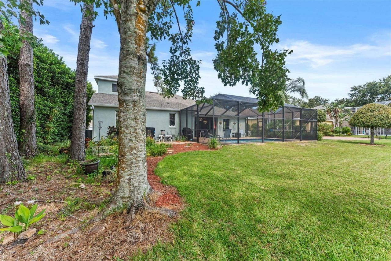 7340 Night Heron Drive, Land O Lakes, FL 34637 Photo