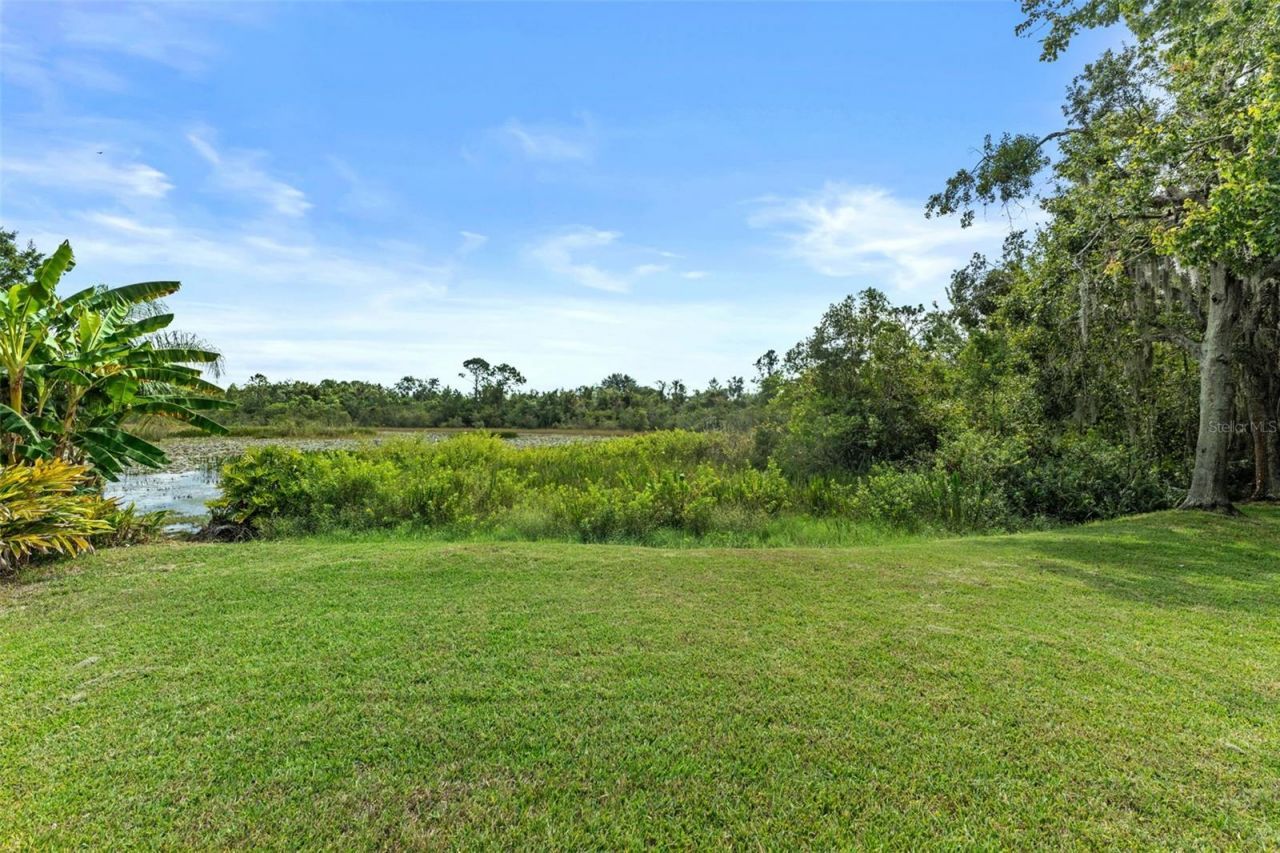 7340 Night Heron Drive, Land O Lakes, FL 34637 Photo