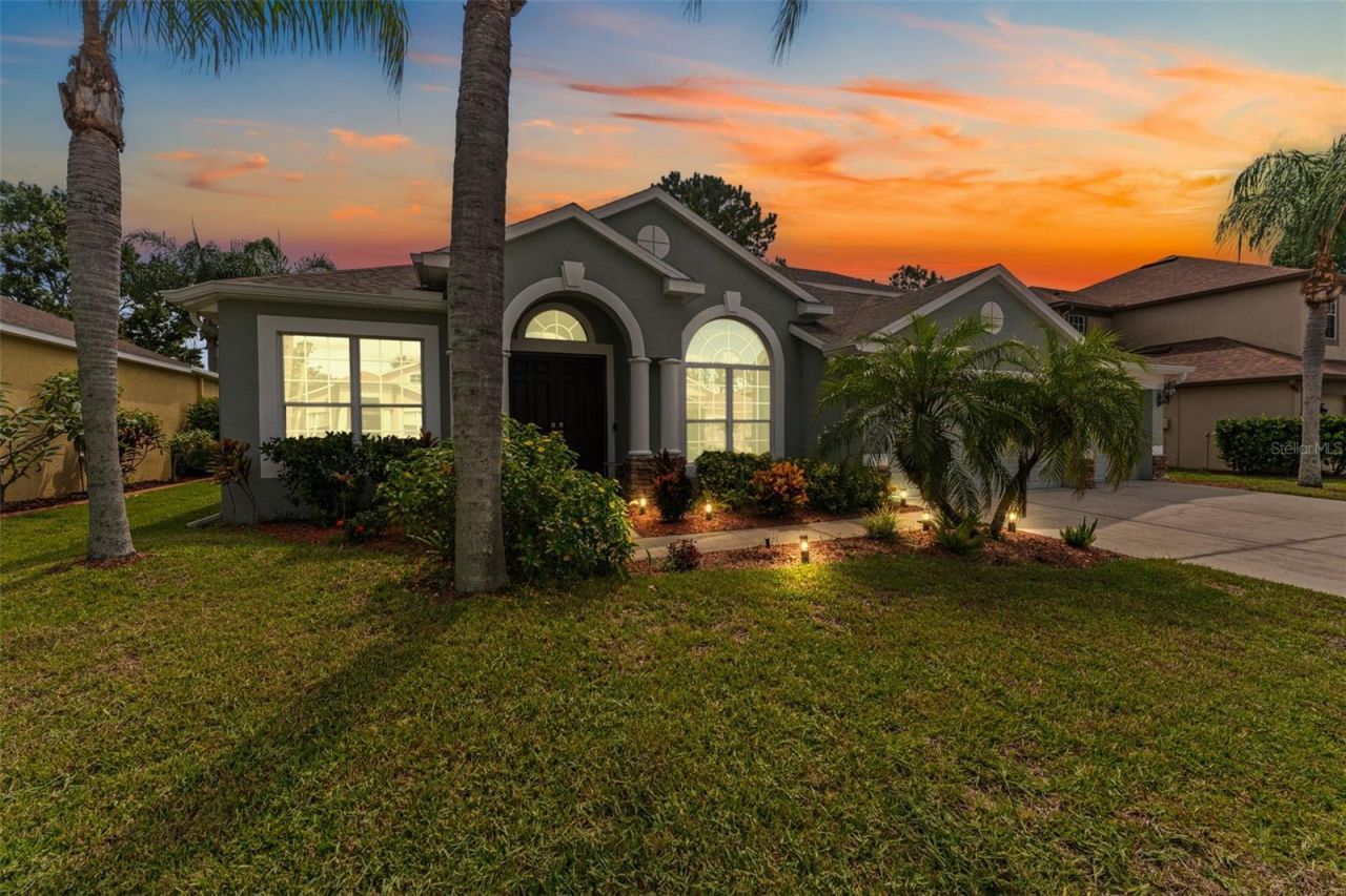 7340 Night Heron Drive, Land O Lakes, FL 34637 Photo