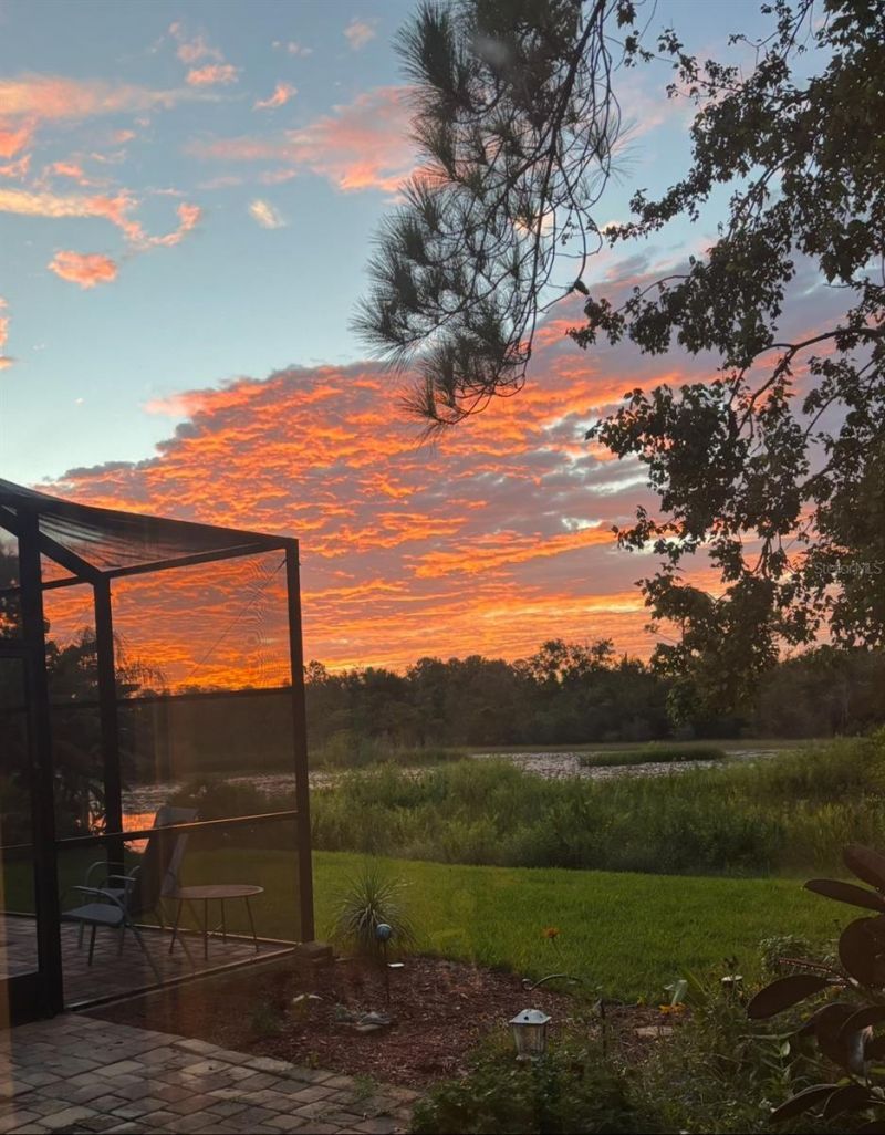 7340 Night Heron Drive, Land O Lakes, FL 34637 Photo