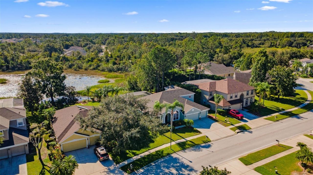 7340 Night Heron Drive, Land O Lakes, FL 34637 Photo