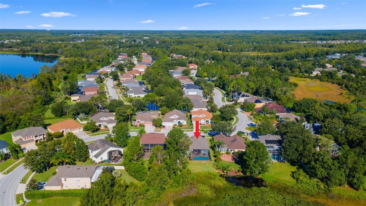 7340 Night Heron Drive, Land O Lakes, FL 34637 Photo