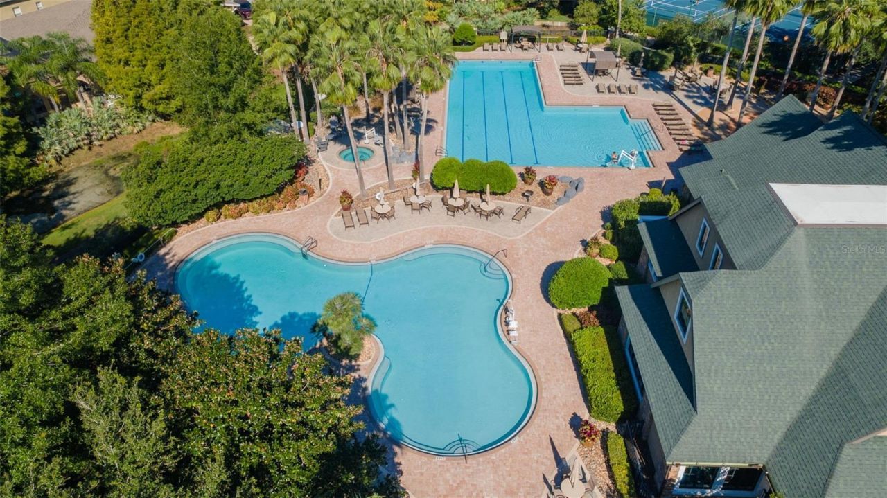 7340 Night Heron Drive, Land O Lakes, FL 34637 Photo