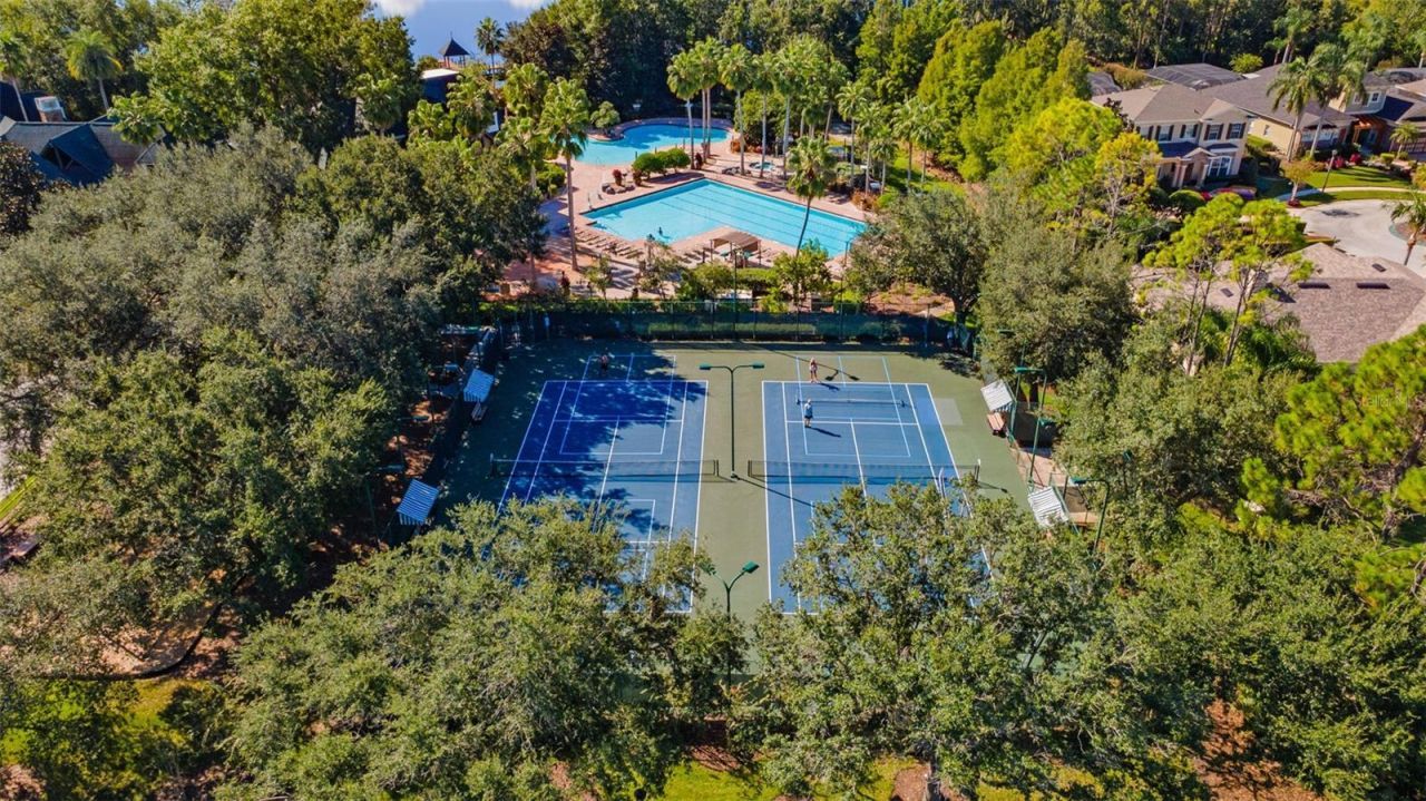 7340 Night Heron Drive, Land O Lakes, FL 34637 Photo