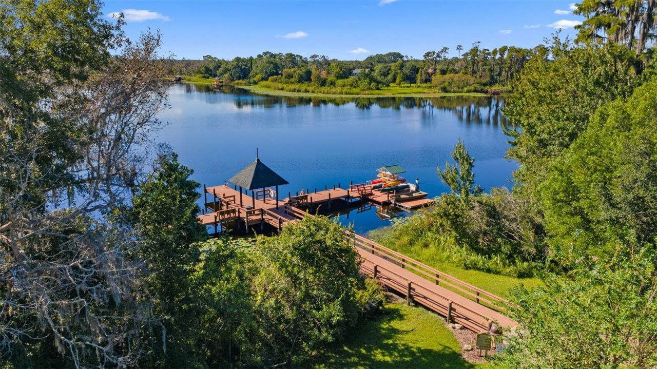 7340 Night Heron Drive, Land O Lakes, FL 34637 Photo