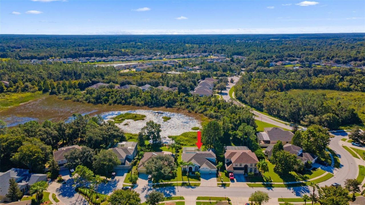 7340 Night Heron Drive, Land O Lakes, FL 34637 Photo