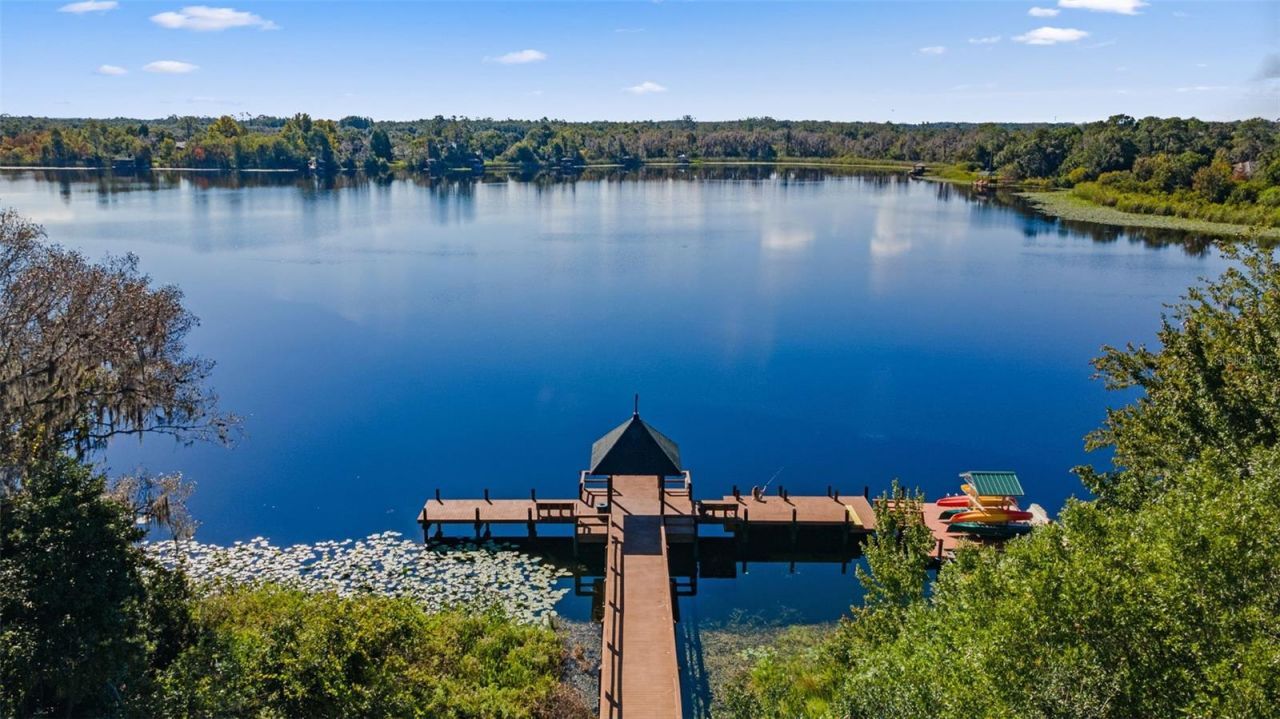 7340 Night Heron Drive, Land O Lakes, FL 34637 Photo