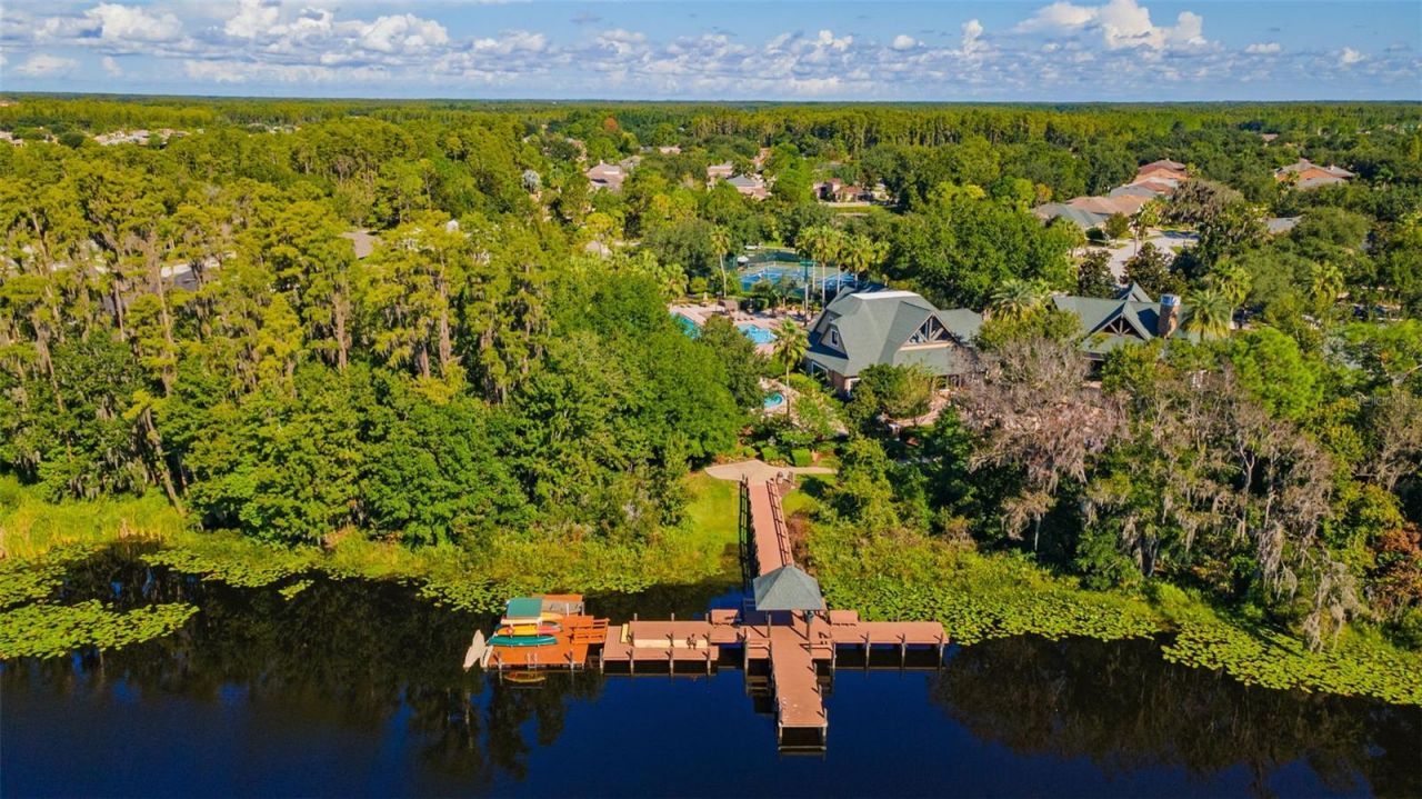 7340 Night Heron Drive, Land O Lakes, FL 34637 Photo