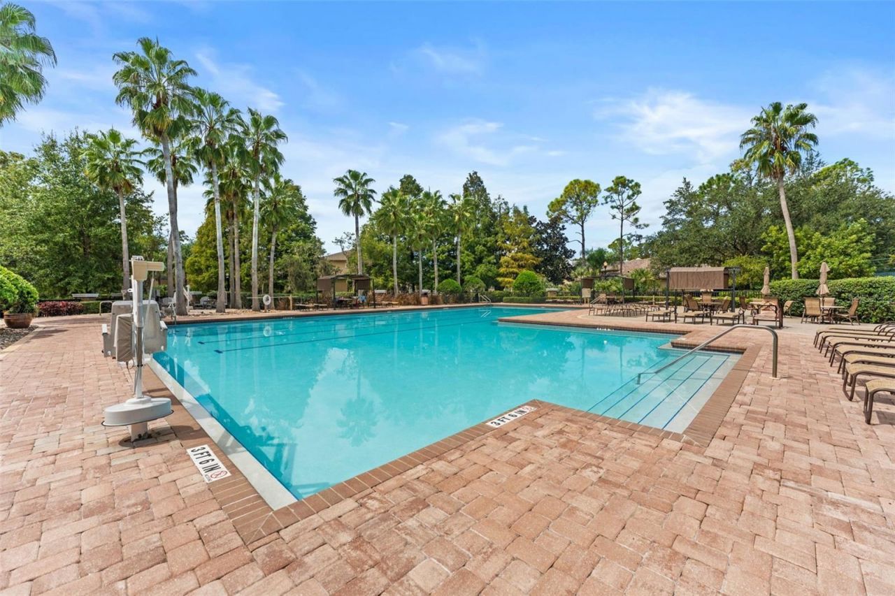 7340 Night Heron Drive, Land O Lakes, FL 34637 Photo