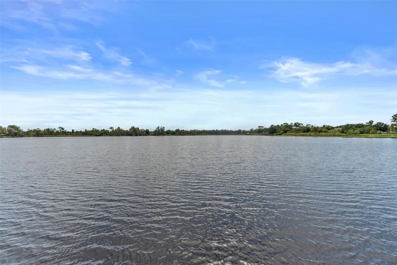 7340 Night Heron Drive, Land O Lakes, FL 34637 Photo