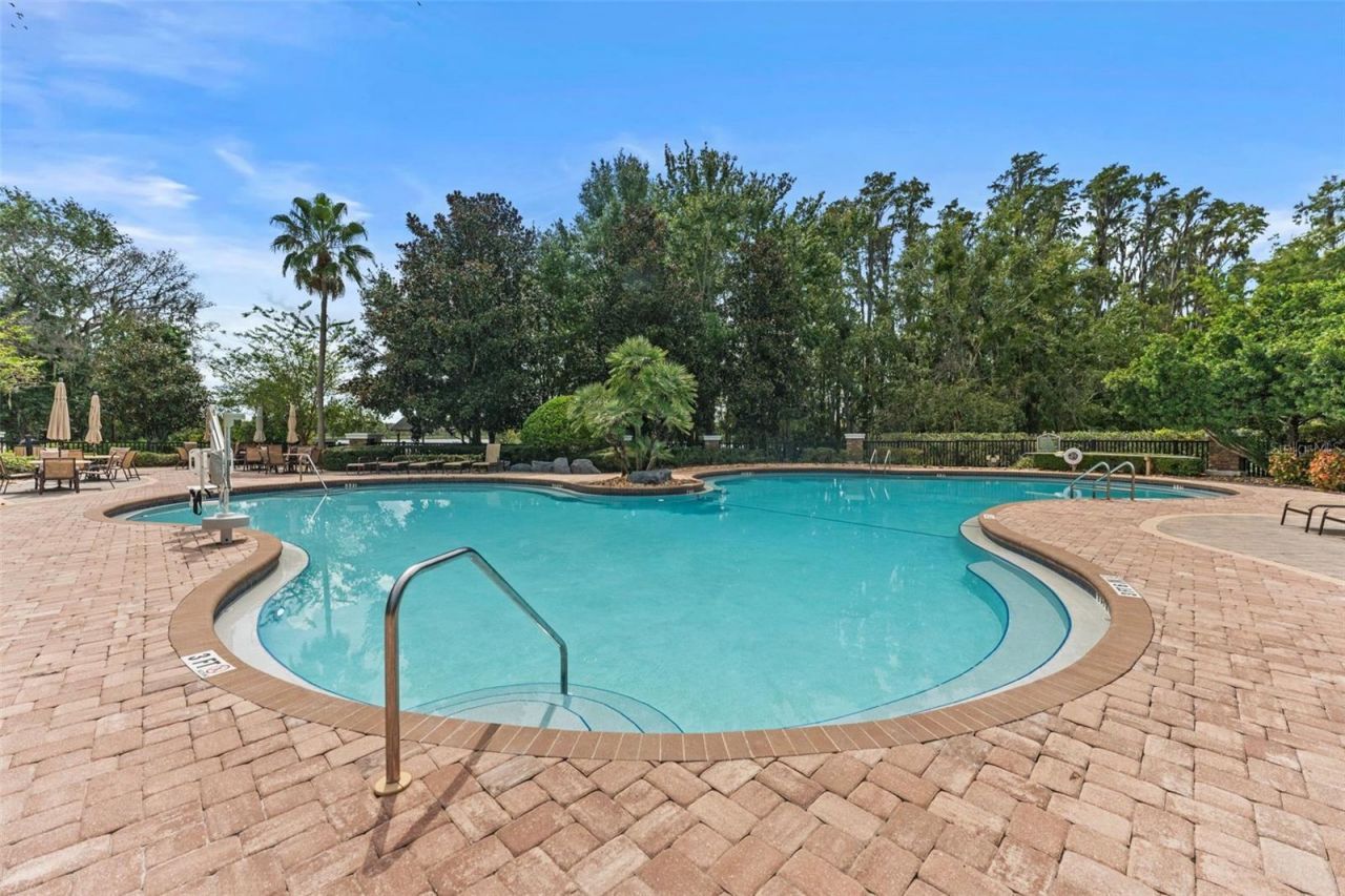 7340 Night Heron Drive, Land O Lakes, FL 34637 Photo