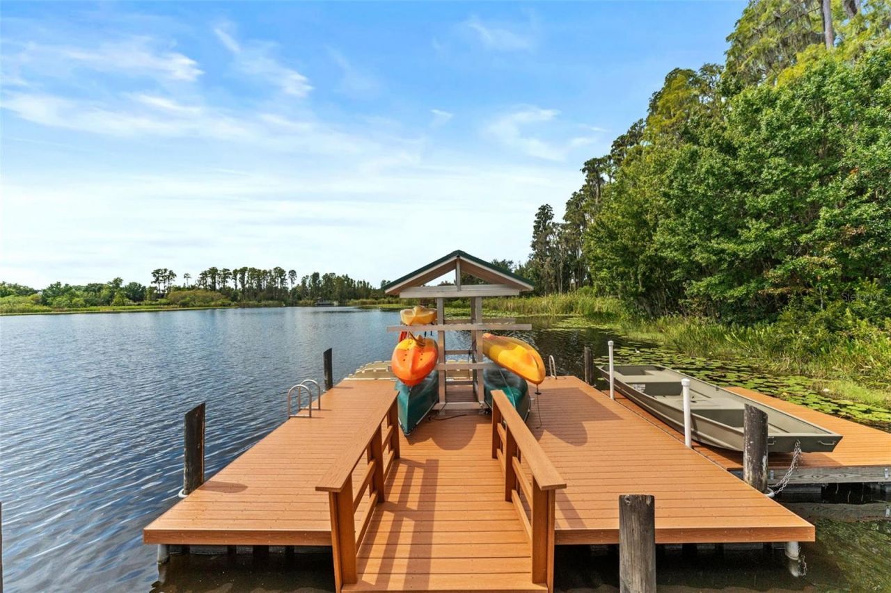 7340 Night Heron Drive, Land O Lakes, FL 34637 Photo