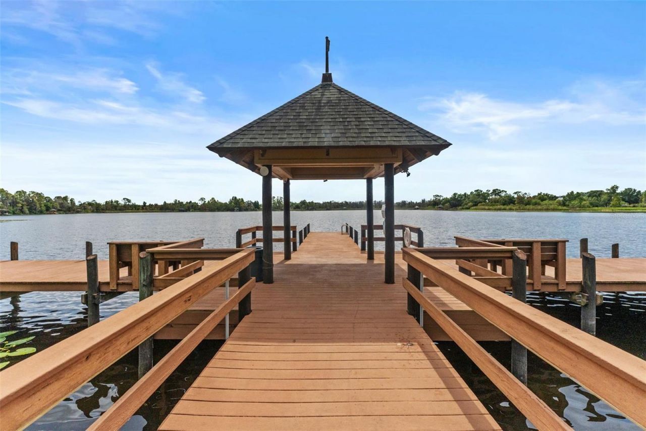 7340 Night Heron Drive, Land O Lakes, FL 34637 Photo