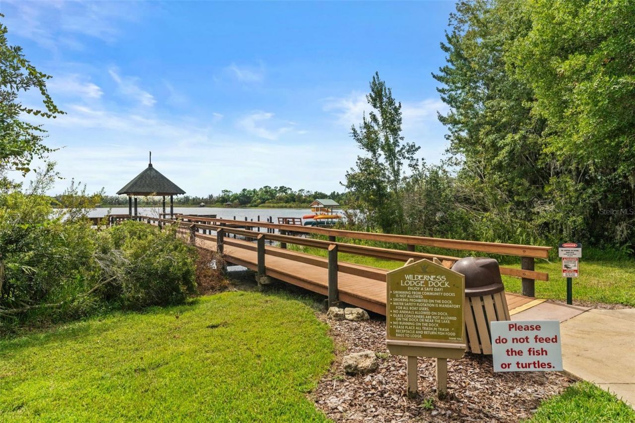 7340 Night Heron Drive, Land O Lakes, FL 34637 Photo