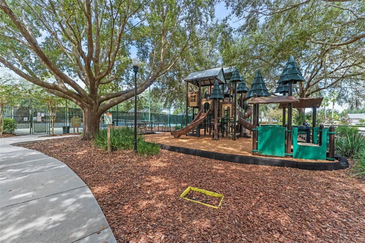 7340 Night Heron Drive, Land O Lakes, FL 34637 Photo