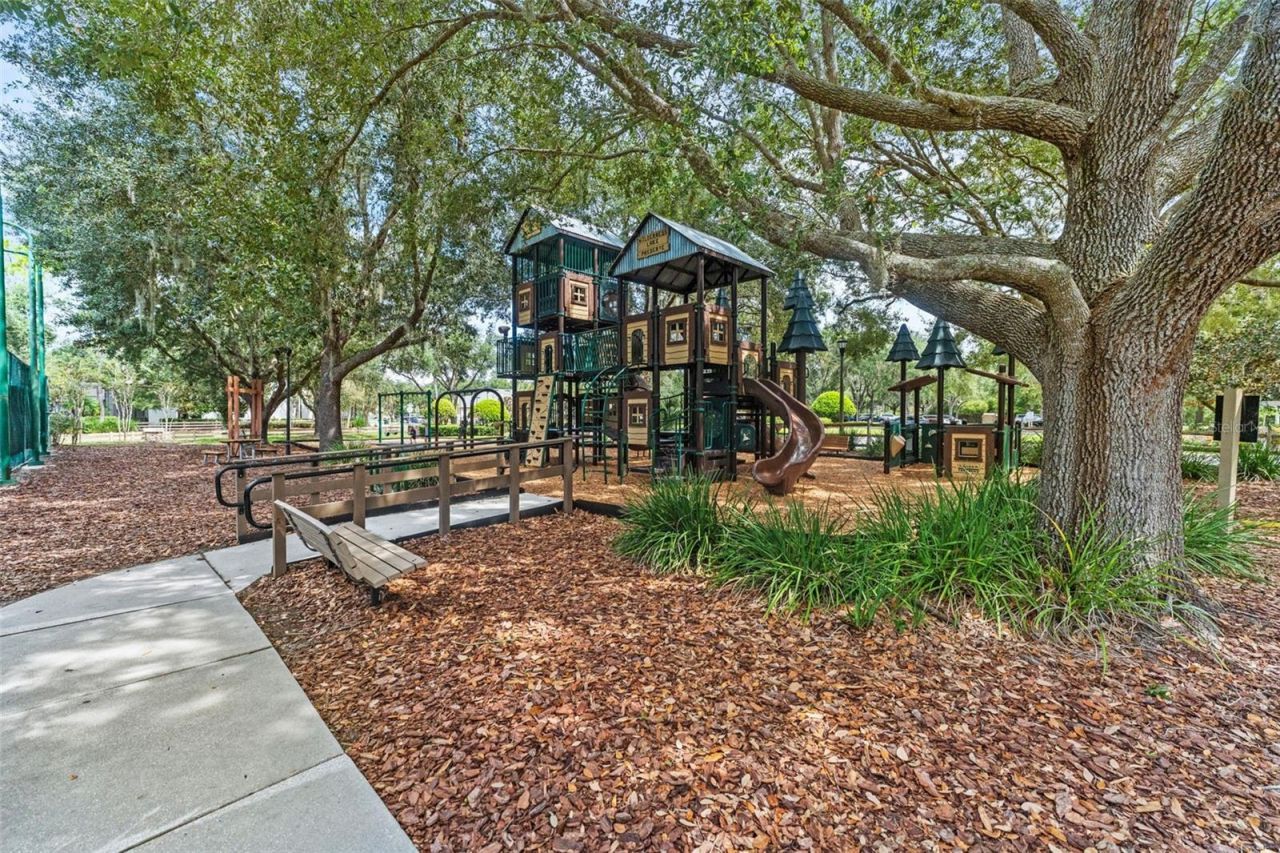 7340 Night Heron Drive, Land O Lakes, FL 34637 Photo