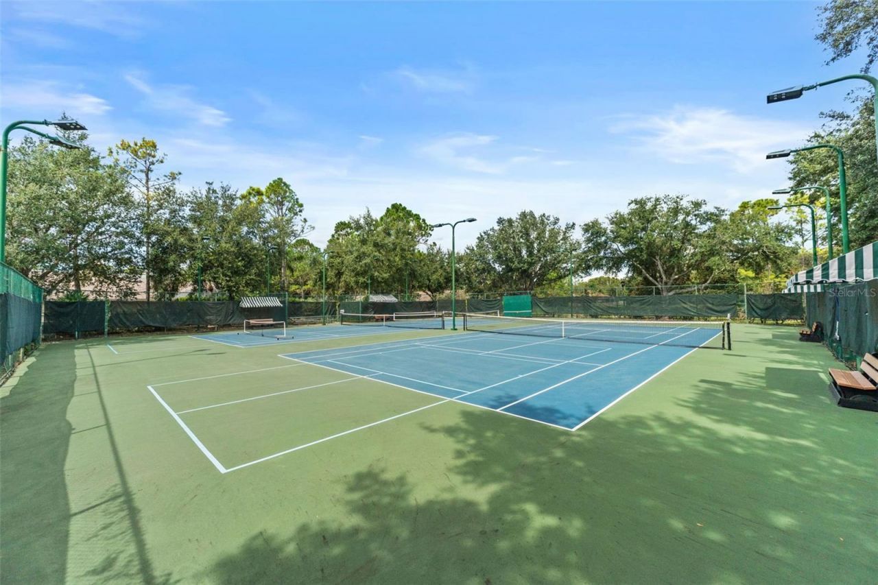 7340 Night Heron Drive, Land O Lakes, FL 34637 Photo