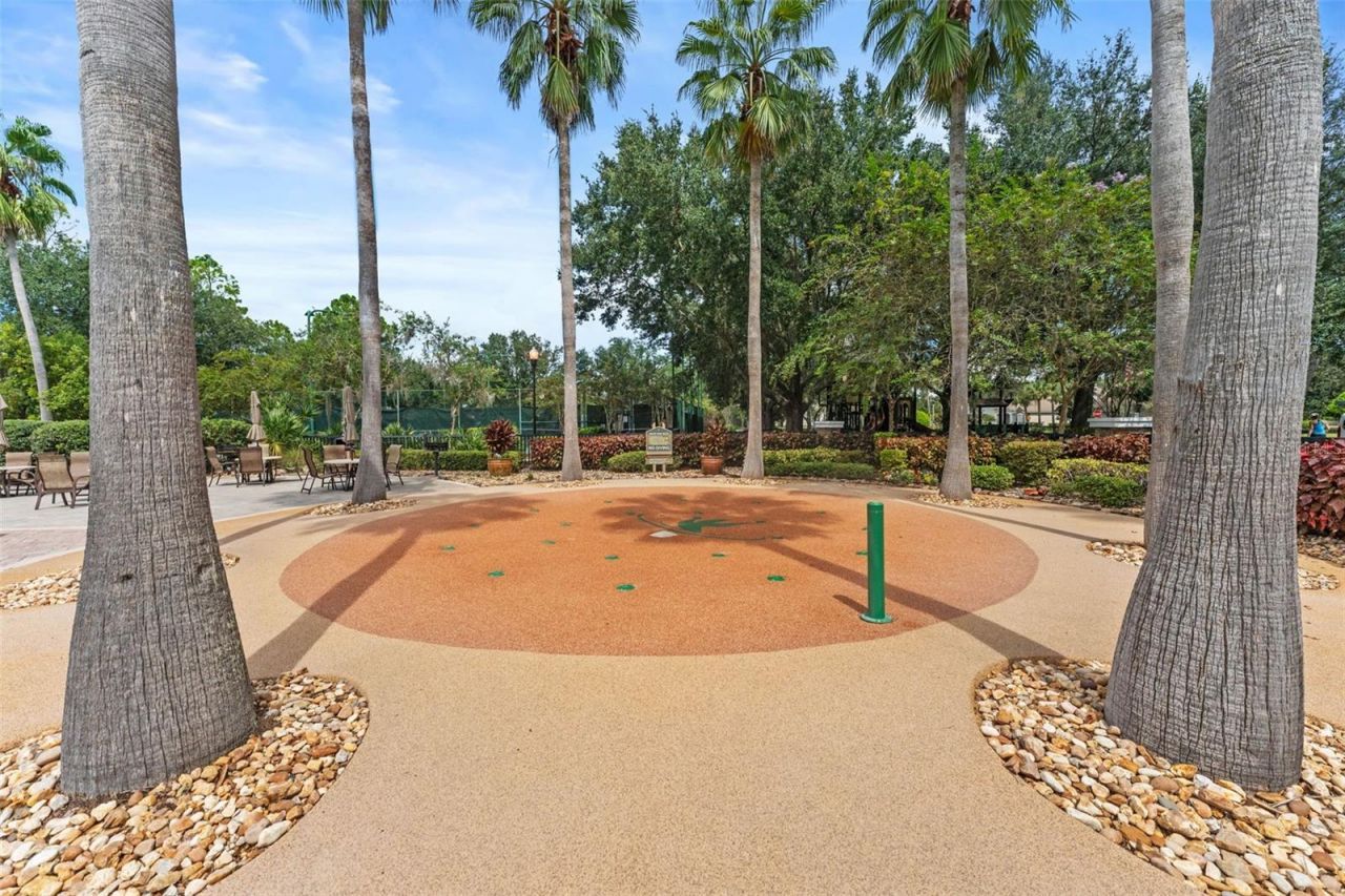 7340 Night Heron Drive, Land O Lakes, FL 34637 Photo