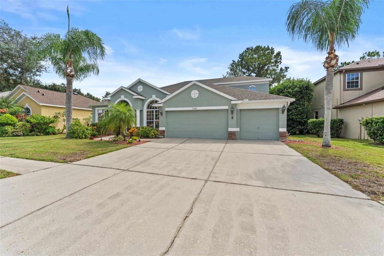 7340 Night Heron Drive, Land O Lakes, FL 34637 Photo