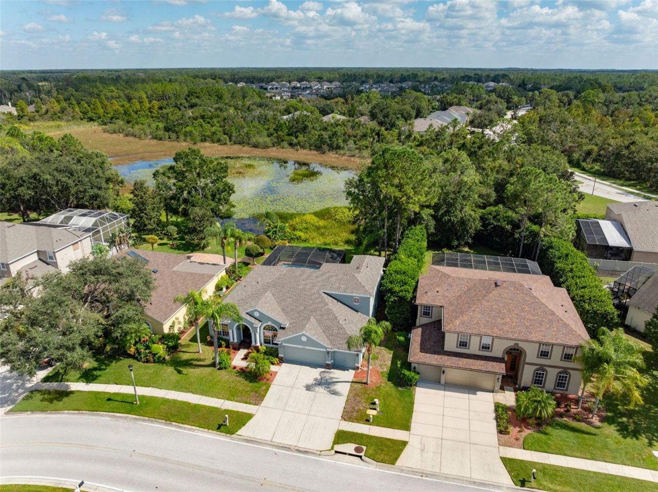 7340 Night Heron Drive, Land O Lakes, FL 34637 Photo