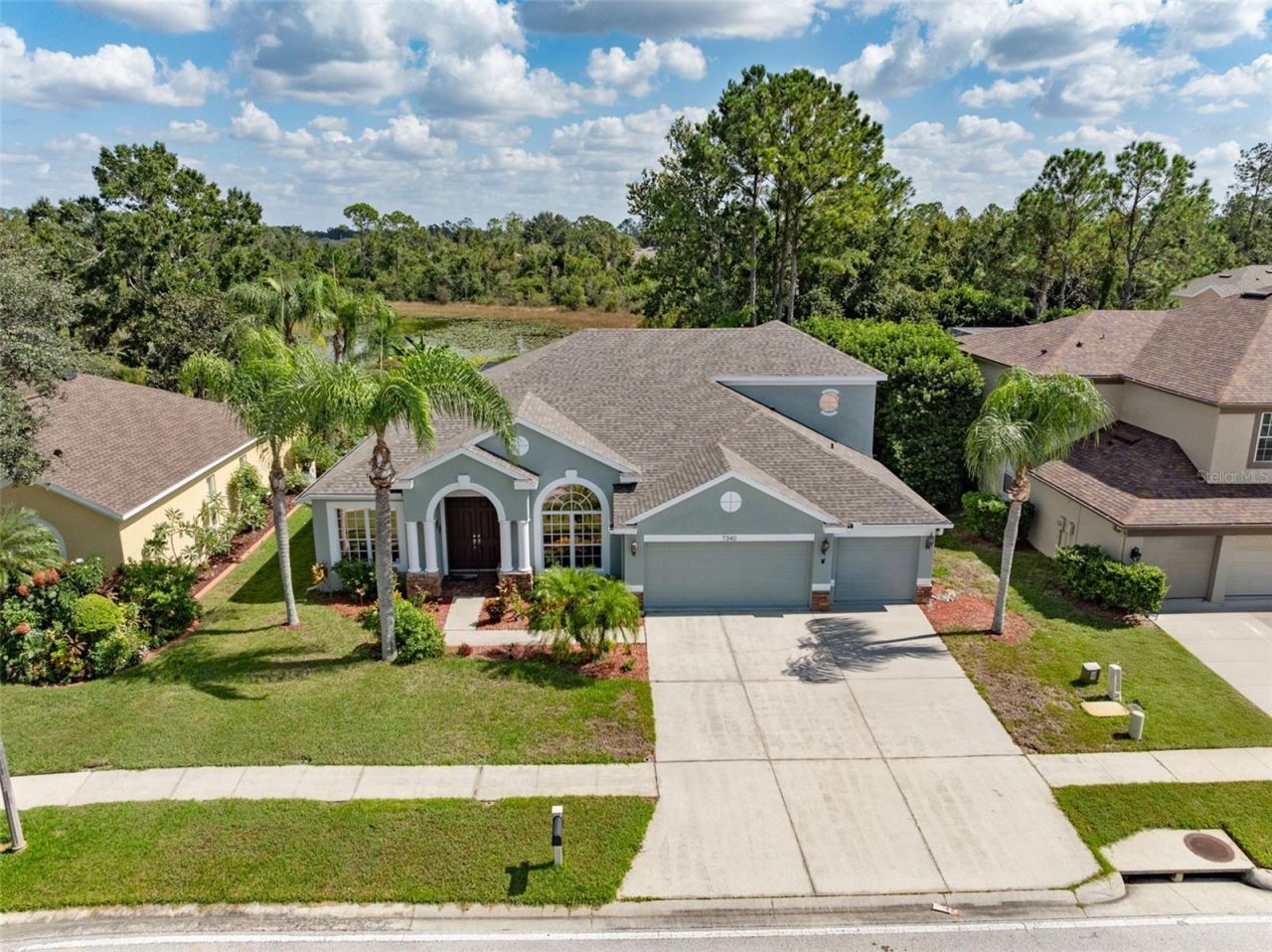 7340 Night Heron Drive, Land O Lakes, FL 34637 Photo